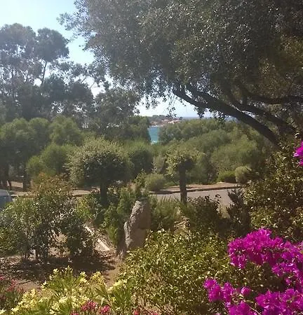 Libecciu Sant Ambroggio Lumio (Corsica)